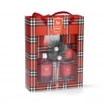 Estuche mikado difusor + 2 velas frutos rojos magic lights