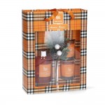 Estuche mikado difusor + 2 velas naranja-canela magic lights