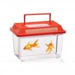 Caja para insectos colores surtidos