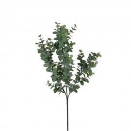Rama de eucalipto verde 65 cm