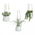 Planta suculenta colgante artificial modelos surtidos 800073