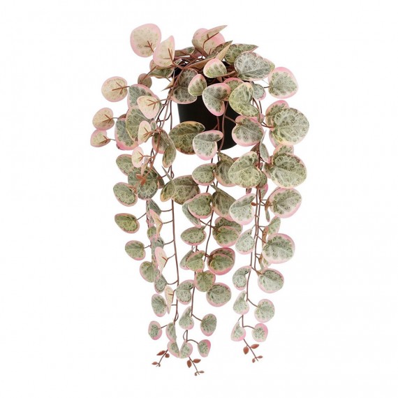 Planta artificial colgante ceropegia woodii "collar de corazones" rosa con maceta.