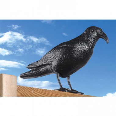 Cuervo plastico anti palomas