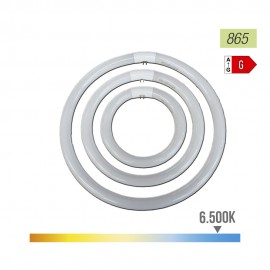 Tubo fluorescente circular trifosforo 32w 6500 k luz fria ø30 cm