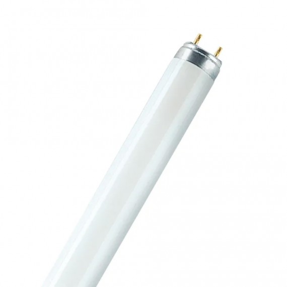 Tubo fluorescente 58 w 6500 k 4900 lm, luz fria ø2.5 cm x 151 cm