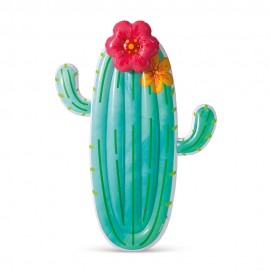 Infable piscina cactus