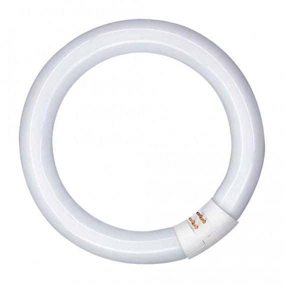 Tubo fluorescente circular 40w, g10q, 6500 k luz fria ø400 mm