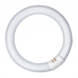 Tubo fluorescente circular 40w, g10q, 6500 k luz fria ø400 mm