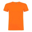 Camiseta beagle naranja t.s
