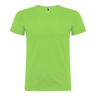 Camiseta beagle verde oasis t.2xl