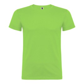 Camiseta beagle verde oasis t.2xl