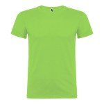 Camiseta beagle verde oasis t.2xl