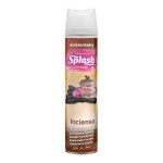 Ambientador incienso spray 300 ml