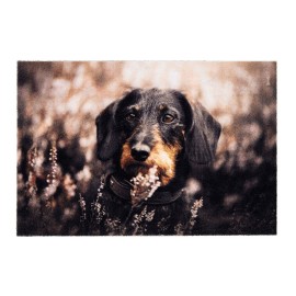 Felpudo de interior, deco print, 100% poliamida, 40 x 60 cm, diseño perro