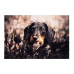 Felpudo de interior, deco print, 100% poliamida, 40 x 60cm, diseño perro