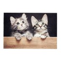 Felpudo de interior, deco print, 100% poliamida, 40 x 60cm, diseño gatos