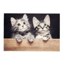 Felpudo de interior, deco print, 100% poliamida, 40 x 60 cm, diseño gatos