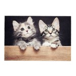 Felpudo de interior, deco print, 100% poliamida, 40 x 60cm, diseño gatos