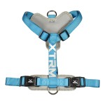 Arnés x-trm cronos neon flash azul, t-m 20 mm x 46-75 cm