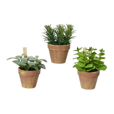 Maceta de tomillo, albahaca y menta, ø15 x 15 x 17 cm, modelos variados