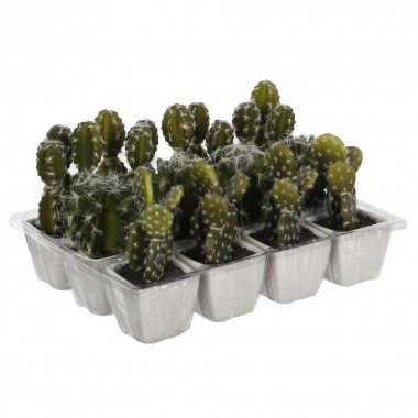 Cactus pvc 14cm 3 modelos surtidos