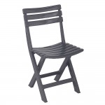 Silla plegable birki color antracita bir80can ipae-progarden.