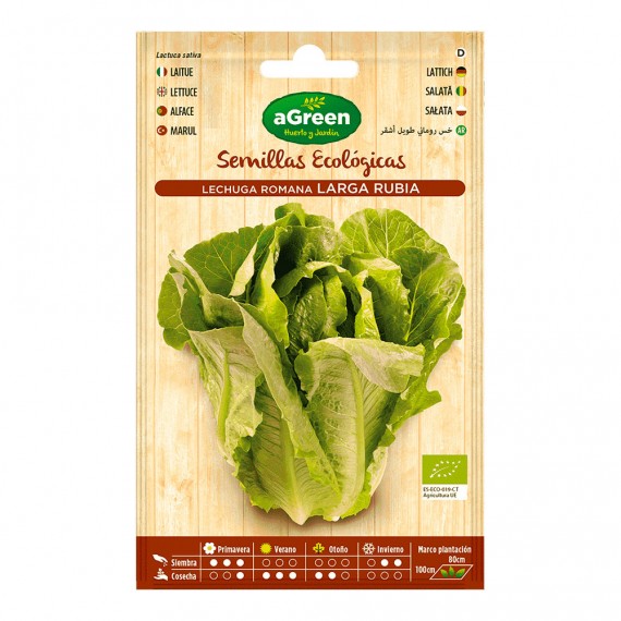 Sobre con semillas eco de lechuga romana larga agreen