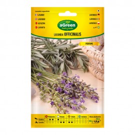 Sobre con semillas de lavanda officinalis