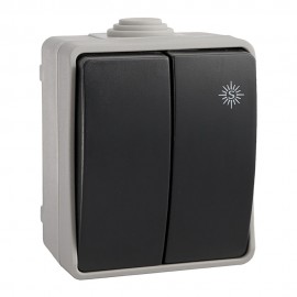 Doble conmutador estanco 10 ax 250v~. ip54