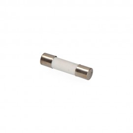 Fusible mt1 10 a 14 x 51 mm