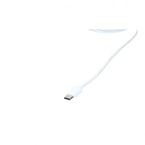 Cable usb c a usb c all ride