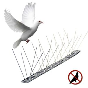 Varilla disuasoria para aves, anti palomas, acero inoxidable - 100 x 2,5 x 11 cm