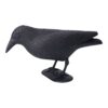 Cuervo ahuyenta pájaros 36 x 13 x 18 cm