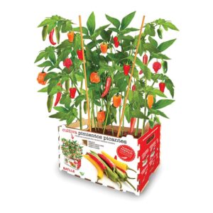 Caja de pimientos picantes