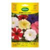 Sobre con semillas de petunia compacta variada