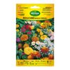Sobre con semillas de flores mezcla rocallas y borduras