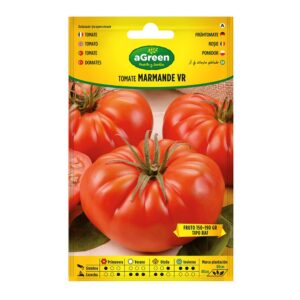 Sobre con semillas de tomate marmande vr holanda