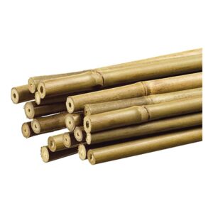 Tutor de bambú decorativo color natural ø1,1 cm x 1,50m