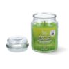 Vela citronela en tarro 510 ml