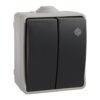 Doble conmutador estanco 10 ax 250 v~. ip54