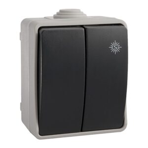 Doble conmutador estanco 10 ax 250 v~. ip54